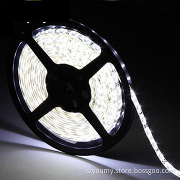 Non-waterproof SMD 5050 Cold White LED flexible Strip with 300 LEDsNew